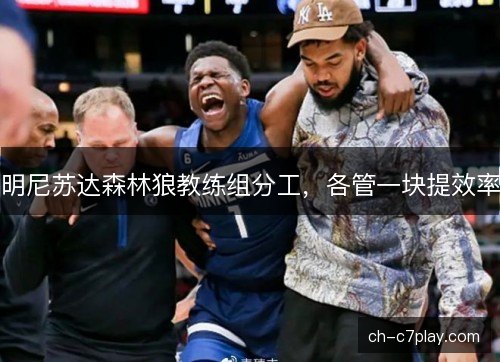 明尼苏达森林狼教练组分工，各管一块提效率